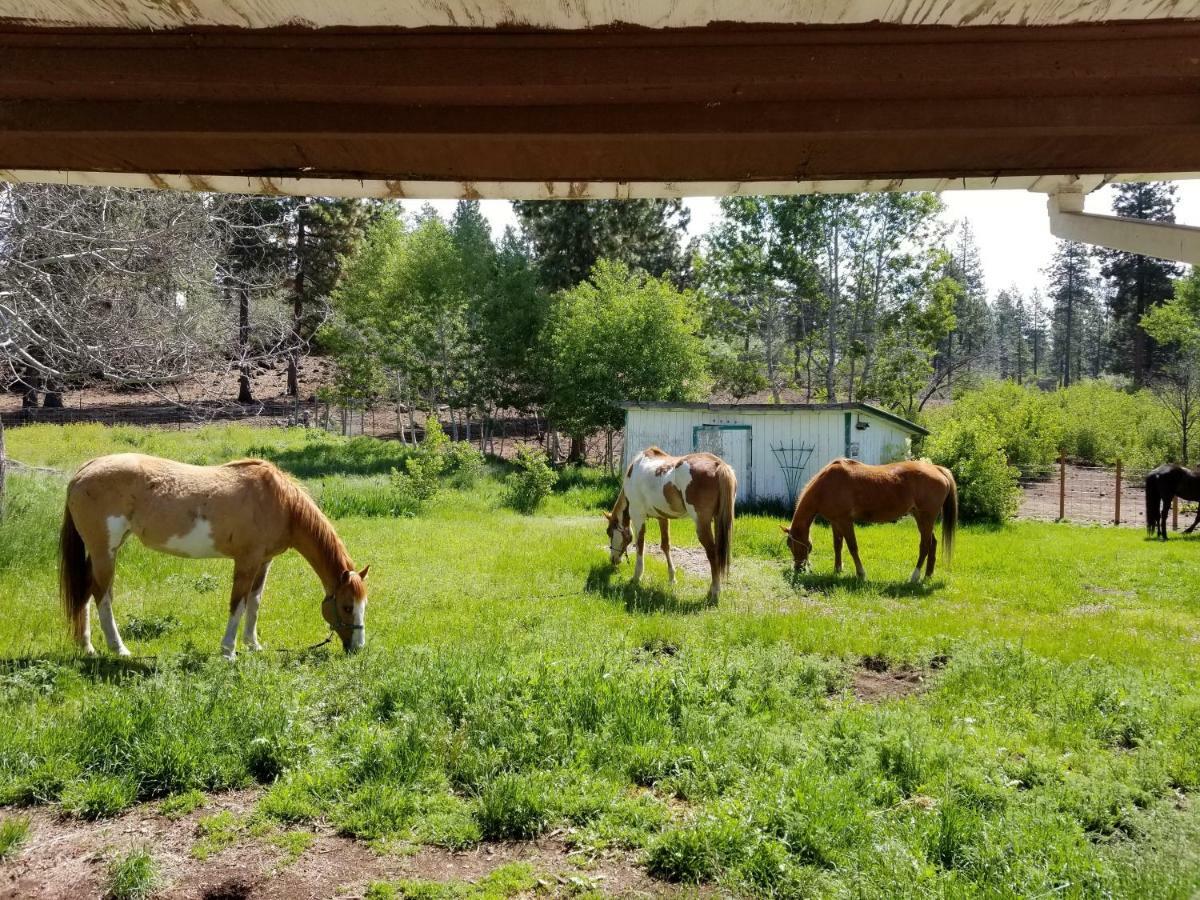 Hotel Heartline Ranch, Llc à Chiloquin Extérieur photo